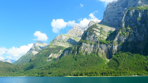 有道翻译下载设备怎么做？最新2025年官方指南 二