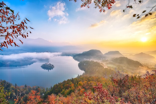 有道翻译下载系统：快速上手攻略2025年 二