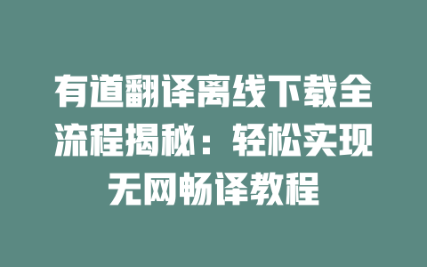有道翻译离线下载全流程揭秘：轻松实现无网畅译教程 一