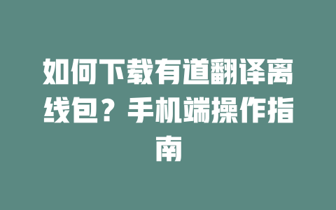 如何下载有道翻译离线包？手机端操作指南 一
