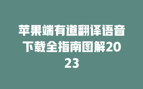 苹果端有道翻译语音下载全指南图解2023 一