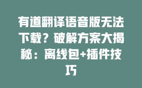 有道翻译语音版无法下载？破解方案大揭秘：离线包+插件技巧 一