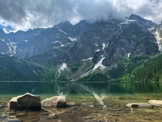 有道翻译如何在手机上下载语音? 二