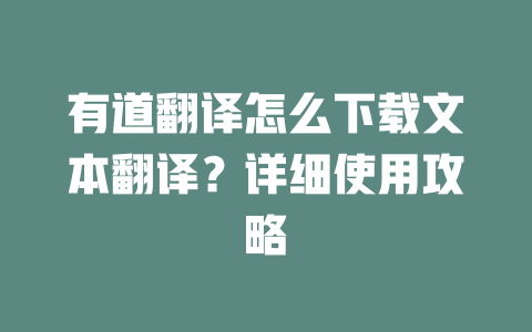 有道翻译怎么下载文本翻译？详细使用攻略 一