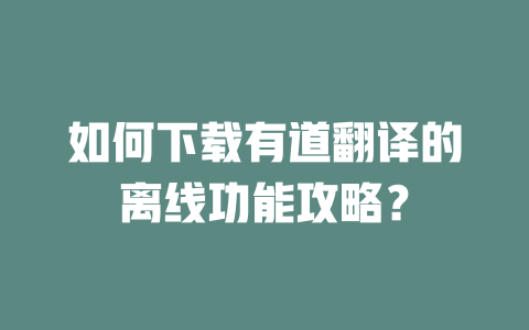 如何下载有道翻译的离线功能攻略？ 一