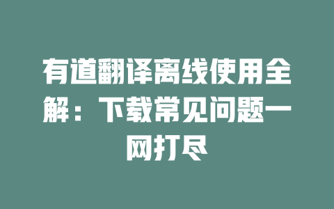 有道翻译离线使用全解：下载常见问题一网打尽 一
